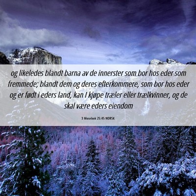 Picture 06 - 3 Mosebok 25:45 NORSK - og likeledes blandt barna av de innerster som bor - Bible Verse Picture