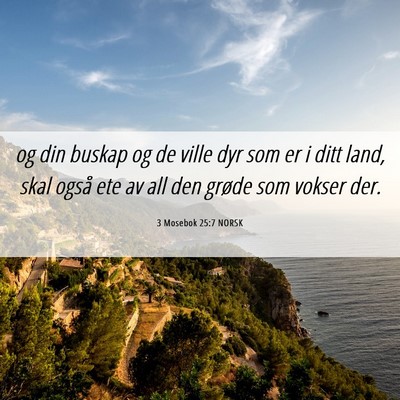 Picture 06 - 3 Mosebok 25:7 NORSK - og din buskap og de ville dyr som er i ditt land, - Bible Verse Picture