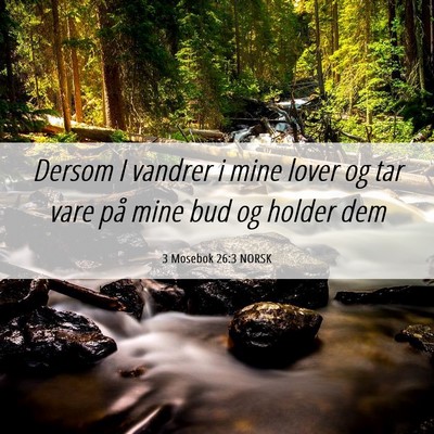 Picture 06 - 3 Mosebok 26:3 NORSK - Dersom I vandrer i mine lover og tar vare på - Bible Verse Picture