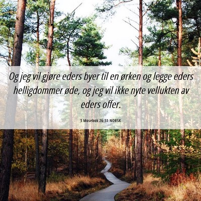 Picture 06 - 3 Mosebok 26:31 NORSK - Og jeg vil gjøre eders byer til en ørken og - Bible Verse Picture
