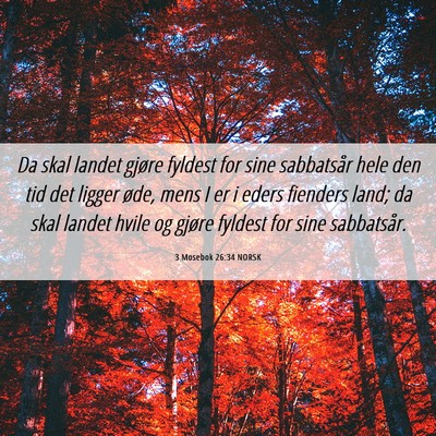 Picture 06 - 3 Mosebok 26:34 NORSK - Da skal landet gjøre fyldest for sine sabbatsår - Bible Verse Picture