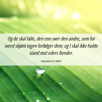 Picture 06 - 3 Mosebok 26:37 NORSK - Og de skal falle, den ene over den andre, som for - Bible Verse Picture