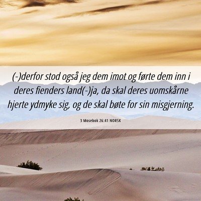 Picture 06 - 3 Mosebok 26:41 NORSK - (-)derfor stod også jeg dem imot og førte dem - Bible Verse Picture