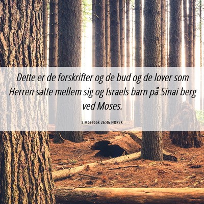Picture 06 - 3 Mosebok 26:46 NORSK - Dette er de forskrifter og de bud og de lover som - Bible Verse Picture