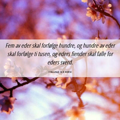 Picture 06 - 3 Mosebok 26:8 NORSK - Fem av eder skal forfølge hundre, og hundre av - Bible Verse Picture