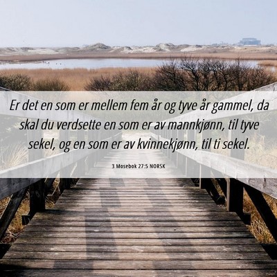 Picture 06 - 3 Mosebok 27:5 NORSK - Er det en som er mellem fem år og tyve år - Bible Verse Picture