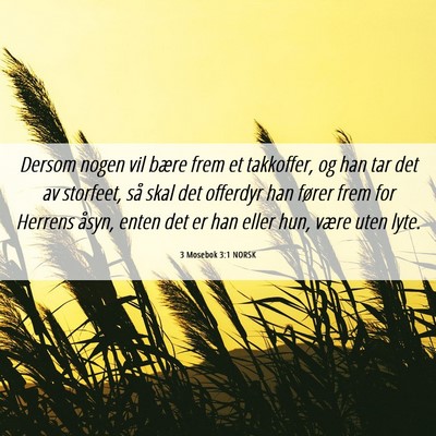 Picture 06 - 3 Mosebok 3:1 NORSK - Dersom nogen vil bære frem et takkoffer, og han - Bible Verse Picture