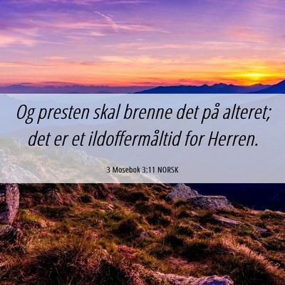 Picture 06 - 3 Mosebok 3:11 NORSK - Og presten skal brenne det på alteret; det er et - Bible Verse Picture