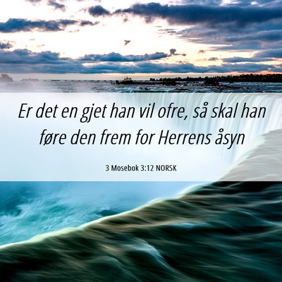 Picture 06 - 3 Mosebok 3:12 NORSK - Er det en gjet han vil ofre, så skal han føre - Bible Verse Picture