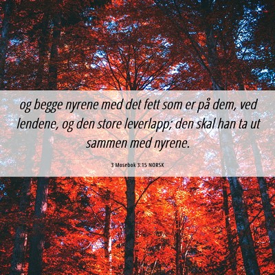 Picture 06 - 3 Mosebok 3:15 NORSK - og begge nyrene med det fett som er på dem, ved - Bible Verse Picture