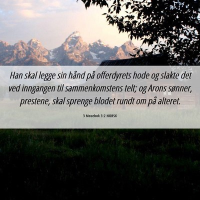Picture 06 - 3 Mosebok 3:2 NORSK - Han skal legge sin hånd på offerdyrets hode og - Bible Verse Picture