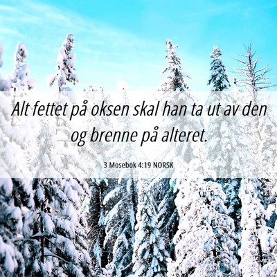 Picture 06 - 3 Mosebok 4:19 NORSK - Alt fettet på oksen skal han ta ut av den og - Bible Verse Picture