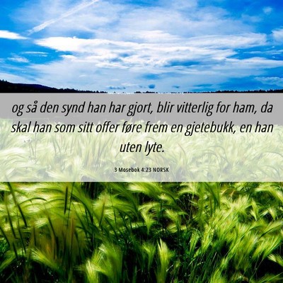 Picture 06 - 3 Mosebok 4:23 NORSK - og så den synd han har gjort, blir vitterlig for - Bible Verse Picture