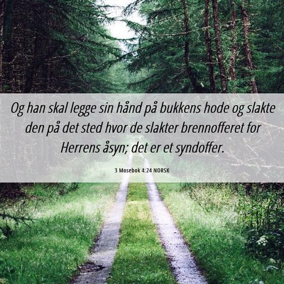 Picture 06 - 3 Mosebok 4:24 NORSK - Og han skal legge sin hånd på bukkens hode og - Bible Verse Picture