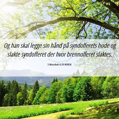 Picture 06 - 3 Mosebok 4:29 NORSK - Og han skal legge sin hånd på syndofferets hode - Bible Verse Picture