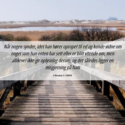 Picture 06 - 3 Mosebok 5:1 NORSK - Når nogen synder, idet han hører opropet til ed - Bible Verse Picture