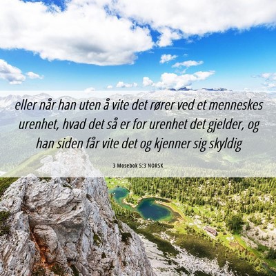 Picture 06 - 3 Mosebok 5:3 NORSK - eller når han uten å vite det rører ved et - Bible Verse Picture