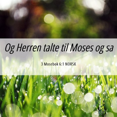 Picture 06 - 3 Mosebok 6:1 NORSK - Og Herren talte til Moses og - Bible Verse Picture