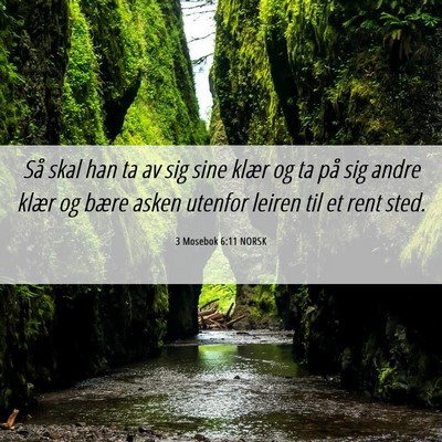 Picture 06 - 3 Mosebok 6:11 NORSK - Så skal han ta av sig sine klær og ta på sig - Bible Verse Picture