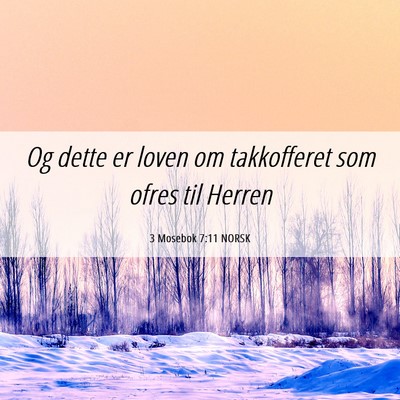 Picture 06 - 3 Mosebok 7:11 NORSK - Og dette er loven om takkofferet som ofres til - Bible Verse Picture