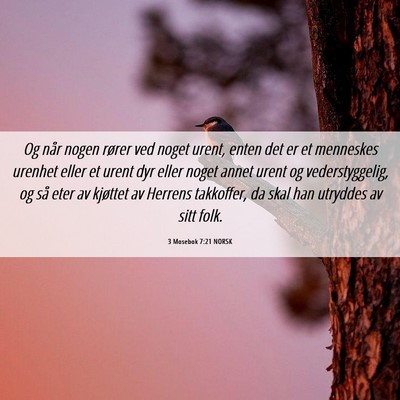 Picture 06 - 3 Mosebok 7:21 NORSK - Og når nogen rører ved noget urent, enten det - Bible Verse Picture