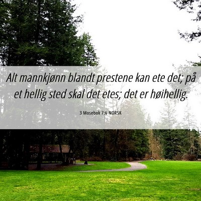 Picture 06 - 3 Mosebok 7:6 NORSK - Alt mannkjønn blandt prestene kan ete det; på - Bible Verse Picture