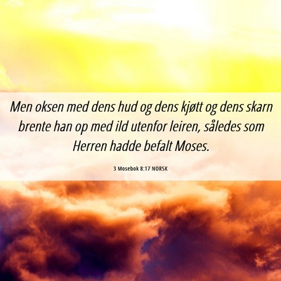 Picture 06 - 3 Mosebok 8:17 NORSK - Men oksen med dens hud og dens kjøtt og dens - Bible Verse Picture
