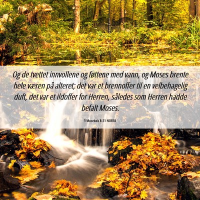 Picture 06 - 3 Mosebok 8:21 NORSK - Og de tvettet innvollene og føttene med vann, og - Bible Verse Picture