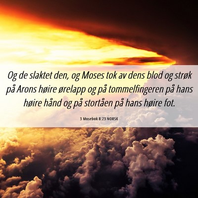 Picture 06 - 3 Mosebok 8:23 NORSK - Og de slaktet den, og Moses tok av dens blod og - Bible Verse Picture
