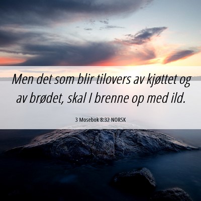 Picture 06 - 3 Mosebok 8:32 NORSK - Men det som blir tilovers av kjøttet og av - Bible Verse Picture