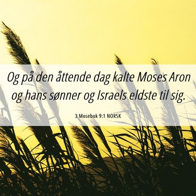 Picture 06 - 3 Mosebok 9:1 NORSK - Og på den åttende dag kalte Moses Aron og hans - Bible Verse Picture