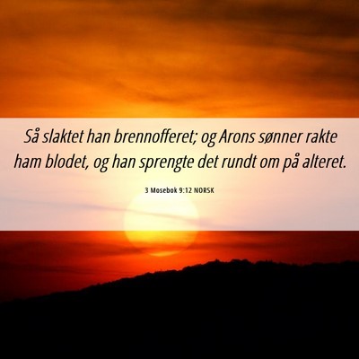 Picture 06 - 3 Mosebok 9:12 NORSK - Så slaktet han brennofferet; og Arons sønner - Bible Verse Picture