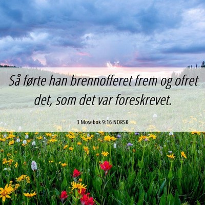 Picture 06 - 3 Mosebok 9:16 NORSK - Så førte han brennofferet frem og ofret det, - Bible Verse Picture