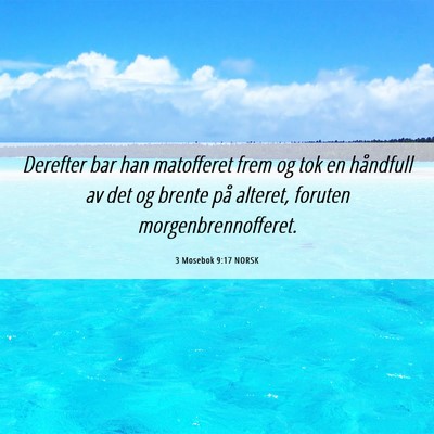 Picture 06 - 3 Mosebok 9:17 NORSK - Derefter bar han matofferet frem og tok en - Bible Verse Picture