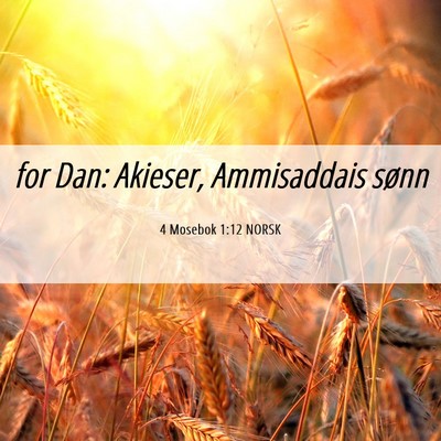 Picture 06 - 4 Mosebok 1:12 NORSK - for Dan: Akieser, Ammisaddais - Bible Verse Picture