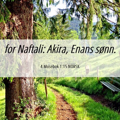 Picture 06 - 4 Mosebok 1:15 NORSK - for Naftali: Akira, Enans - Bible Verse Picture