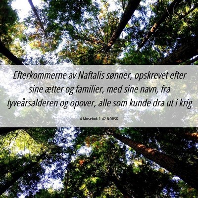 Picture 06 - 4 Mosebok 1:42 NORSK - Efterkommerne av Naftalis sønner, opskrevet - Bible Verse Picture