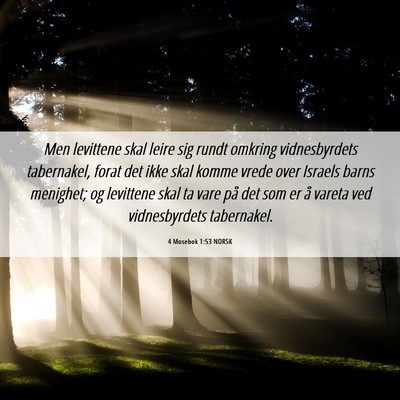 Picture 06 - 4 Mosebok 1:53 NORSK - Men levittene skal leire sig rundt omkring - Bible Verse Picture