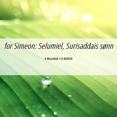 Picture 06 - 4 Mosebok 1:6 NORSK - for Simeon: Selumiel, Surisaddais - Bible Verse Picture