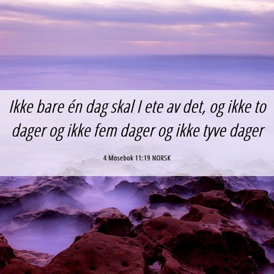 Picture 06 - 4 Mosebok 11:19 NORSK - Ikke bare én dag skal I ete av det, og ikke to - Bible Verse Picture