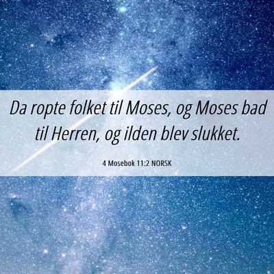 Picture 06 - 4 Mosebok 11:2 NORSK - Da ropte folket til Moses, og Moses bad til - Bible Verse Picture