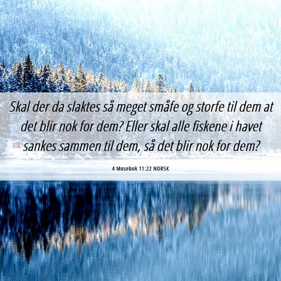 Picture 06 - 4 Mosebok 11:22 NORSK - Skal der da slaktes så meget småfe og storfe - Bible Verse Picture