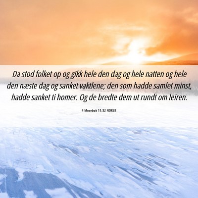 Picture 06 - 4 Mosebok 11:32 NORSK - Da stod folket op og gikk hele den dag og hele - Bible Verse Picture