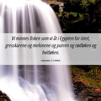 Picture 06 - 4 Mosebok 11:5 NORSK - Vi minnes fisken som vi åt i Egypten for intet, - Bible Verse Picture