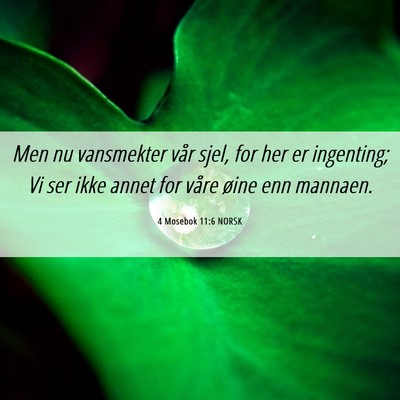 Picture 06 - 4 Mosebok 11:6 NORSK - Men nu vansmekter vår sjel, for her er - Bible Verse Picture