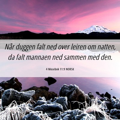 Picture 06 - 4 Mosebok 11:9 NORSK - Når duggen falt ned over leiren om natten, da - Bible Verse Picture