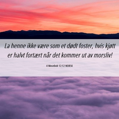 Picture 06 - 4 Mosebok 12:12 NORSK - La henne ikke være som et dødt foster, hvis - Bible Verse Picture