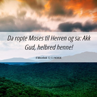 Picture 06 - 4 Mosebok 12:13 NORSK - Da ropte Moses til Herren og sa: Akk Gud, helbred - Bible Verse Picture