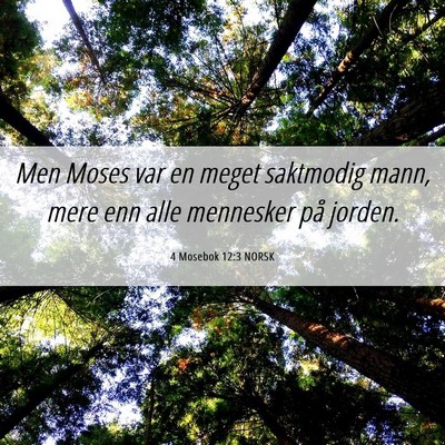 Picture 06 - 4 Mosebok 12:3 NORSK - Men Moses var en meget saktmodig mann, mere enn - Bible Verse Picture