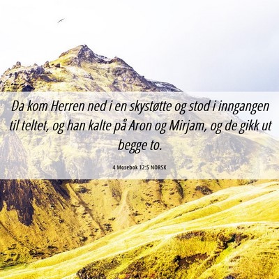 Picture 06 - 4 Mosebok 12:5 NORSK - Da kom Herren ned i en skystøtte og stod i - Bible Verse Picture